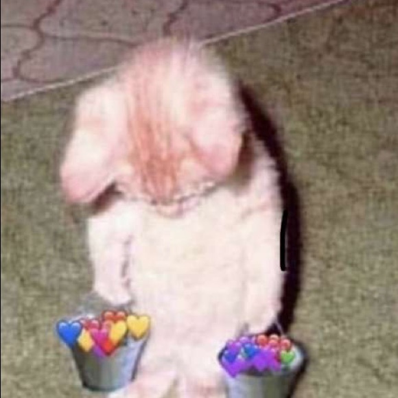 deniiiiiiii